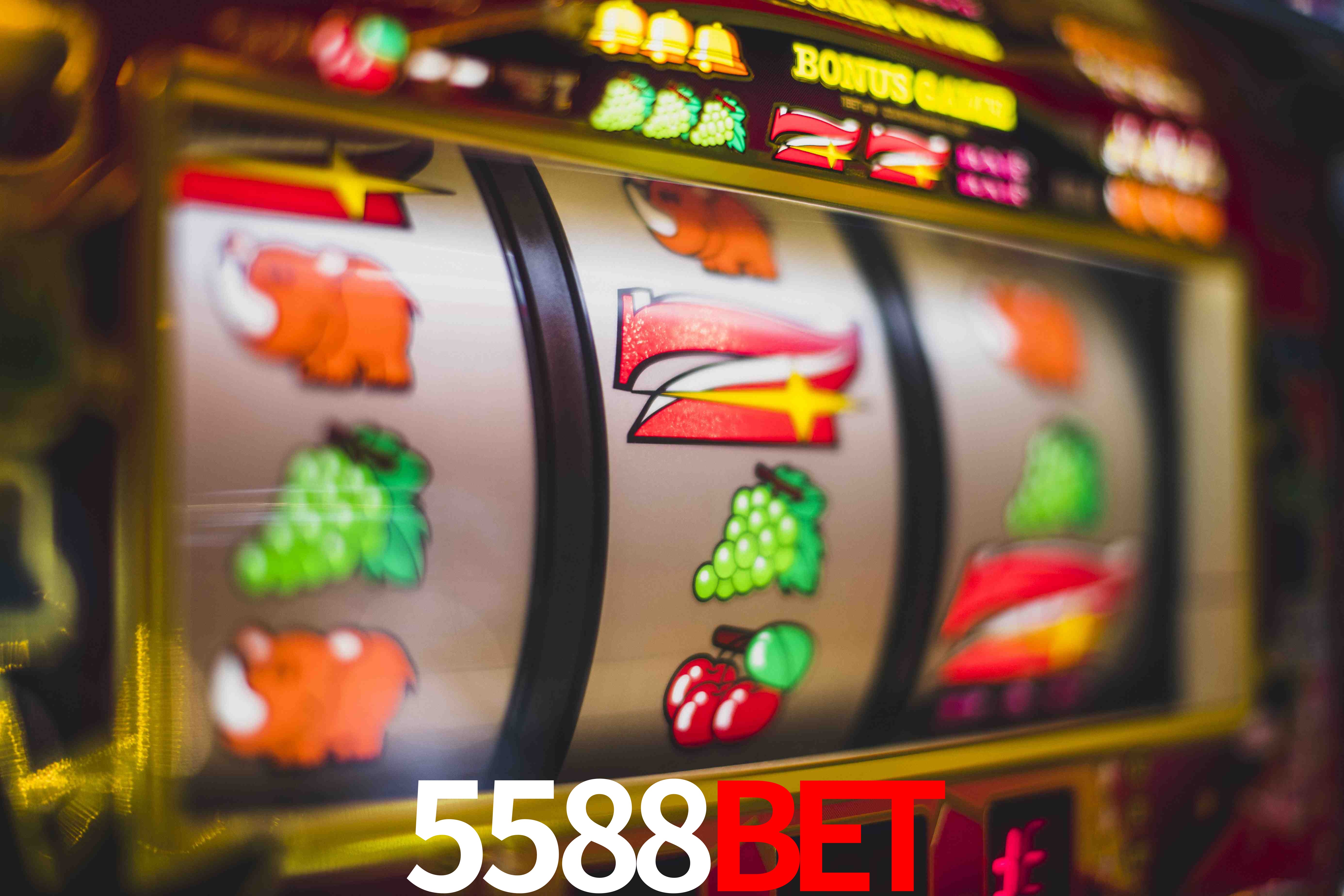 Live Casino 5588BET